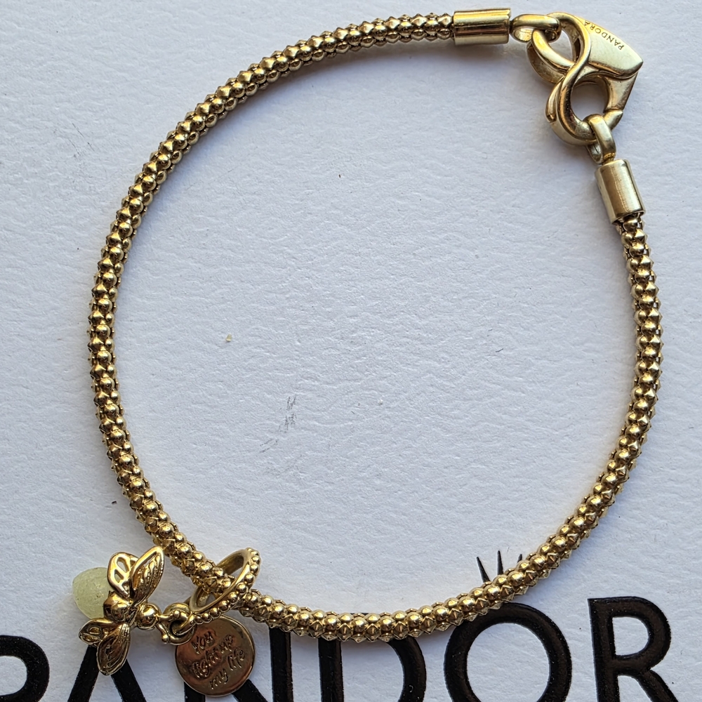 Pandora Gold Charm Bracelet